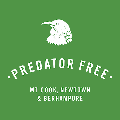 Predator Free Mt Cook / Newtown / Berhampore logo
