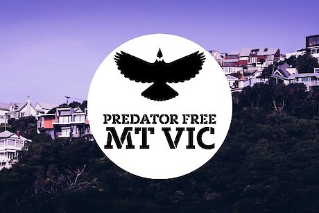 Predator Free Mt Vic / Oriental Bay / Roseneath / Haitaitai
