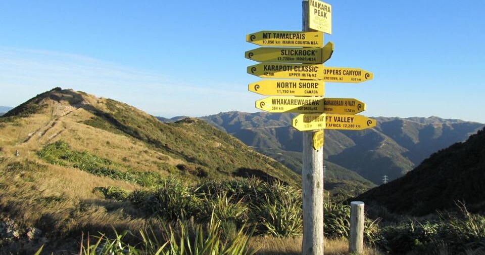 Where Can I Donate Walkers