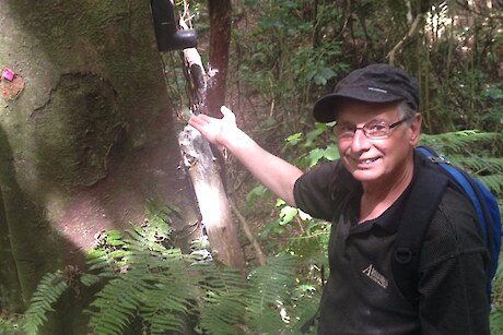Friends of Tawa Bush Reserves