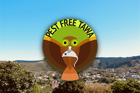 Pest Free Tawa
