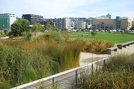 Predator Free Waterfront