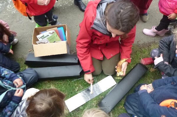 Learning resources and activities