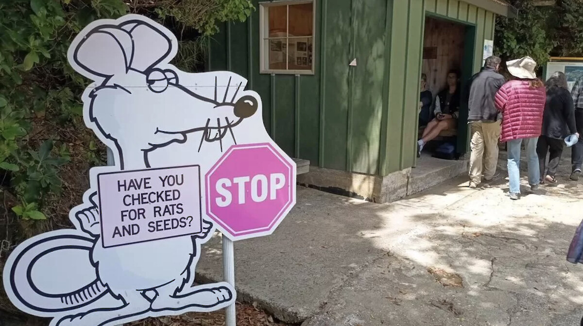 Some of New Zealand’s island sanctuaries are open to the public - but not to rodents
