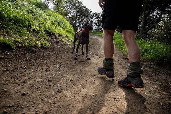Wero and Brad checking trails on Mt Victoria. Photo courtesy The Post / David Unwin