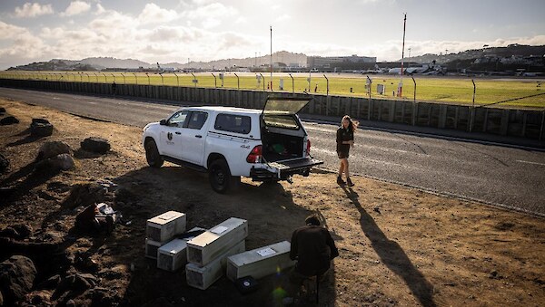 Predator Free Wellington field staff near Wellington Airport