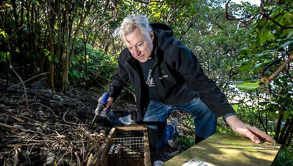 Marcus Hull checking a trap. Photo courtesy Bruce Mackay/The Post