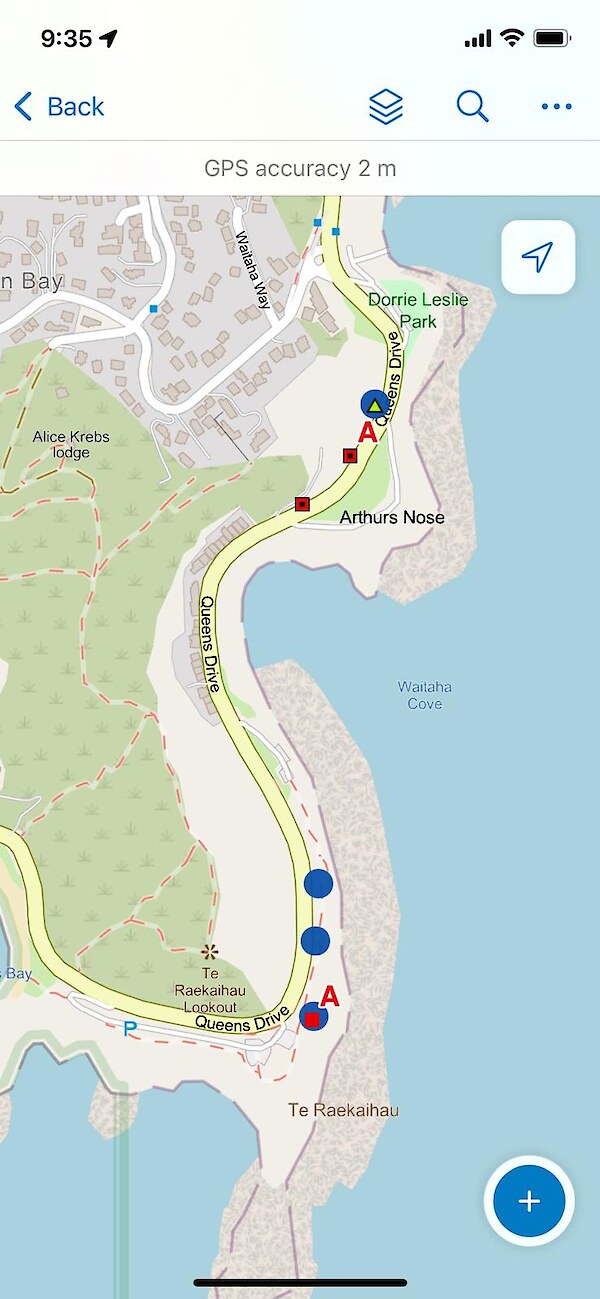 Catch information around Lyall Bay