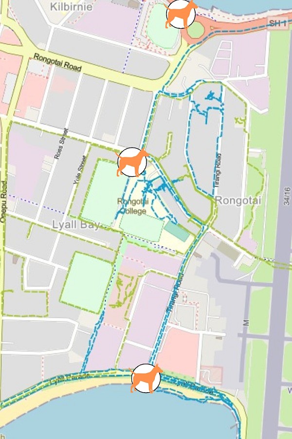 A map of dog detections of rats in Rongotai (click to expand). The blue lines are Sally’s GPS tracks with the dogs. Orange icons are passive dog detections, where there may have been old activity.