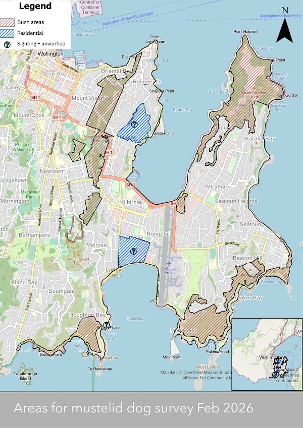 A map showing the areas Brad and Wero checked. It includes unverified public sightings – no signs of stoats were found at these sites.