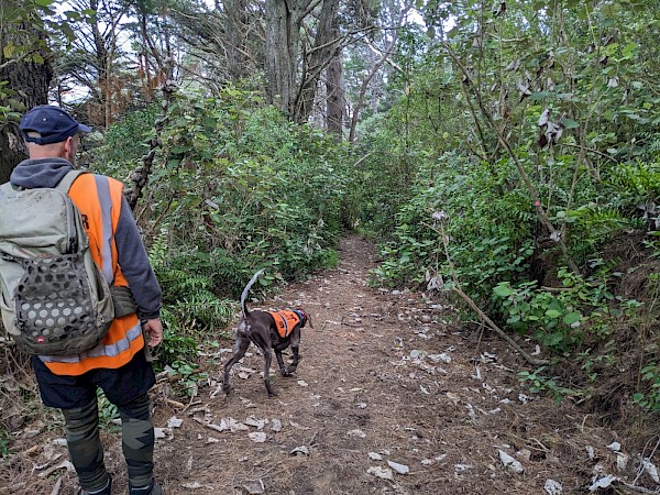 Brad and Wero working in Mt Victoria