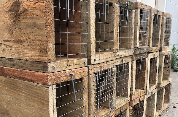 How to build a trapping tunnel