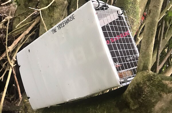 How to build a corflute trapping tunnel