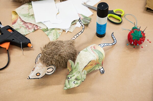 Biosecurity: Rat or mouse?