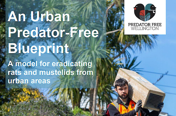 Our urban predator free blueprint (2024)