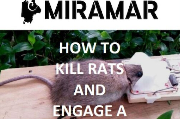 How to kill rats and engage a community (2019)