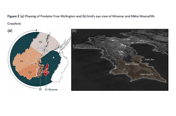 Conceiving an unfenced urban ecosanctuary at Mātai Moana (2024) – external link
