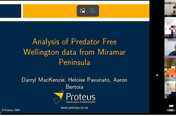 Webinar - Analysis of Predator Free Wellington data from Miramar (2024)