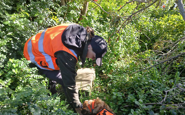 Sally and Rapu in the field. Photo courtesy RNZ