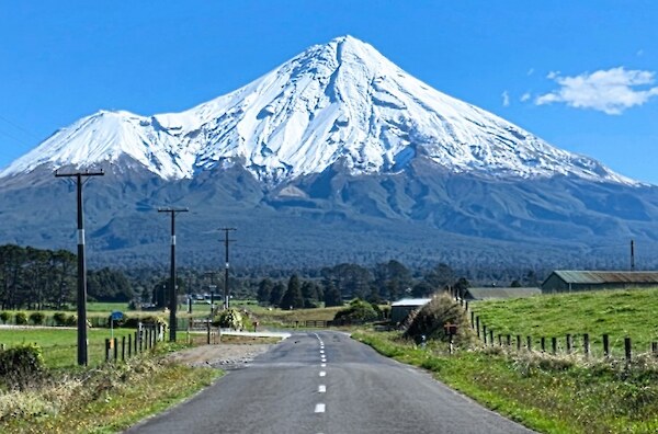 Multi-species Elimination Design for Towards Predator Free Taranaki – file download